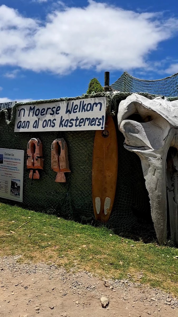 De Vette Mossel Hermanus | Beach Seafood Restaurant Experience-2